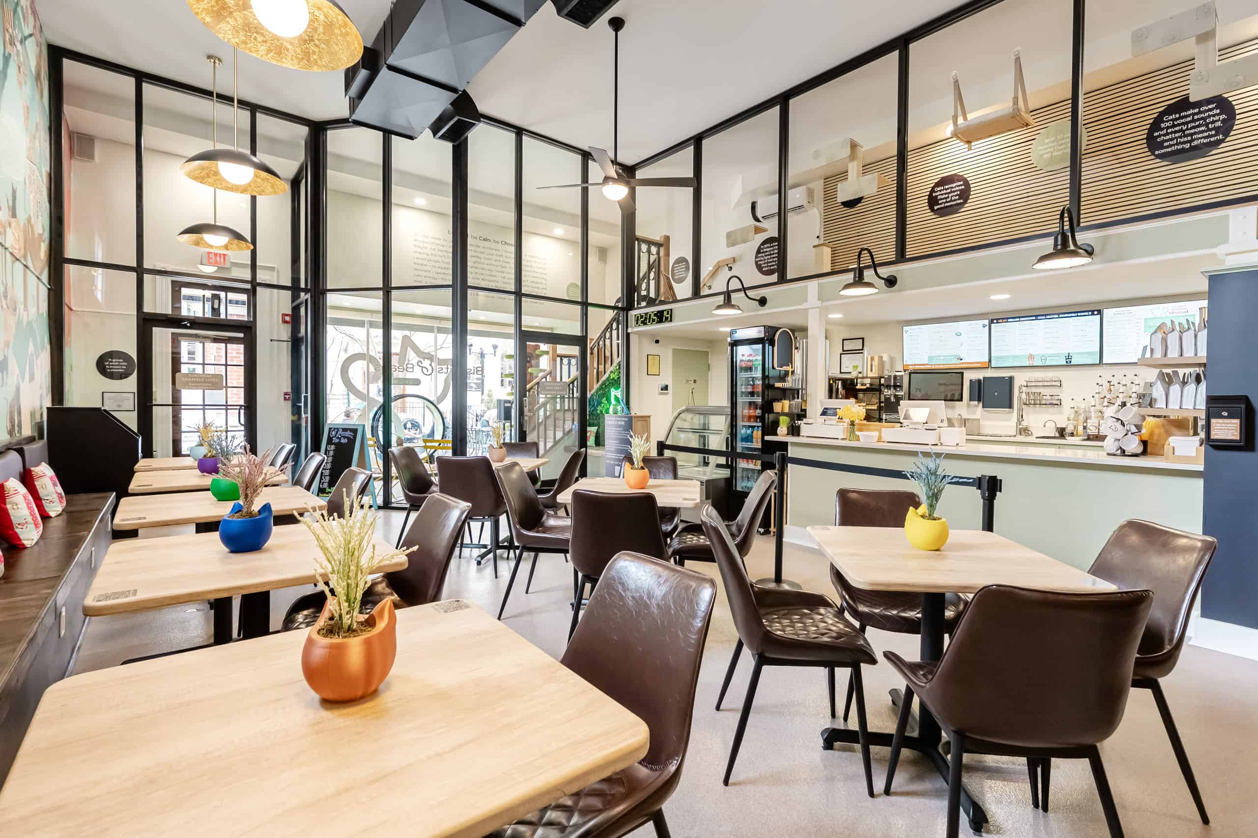 Cozy cat café with modern decor, seating, and a welcoming atmosphere.