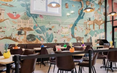 Why We Built Biscuits & Beans Cat Café