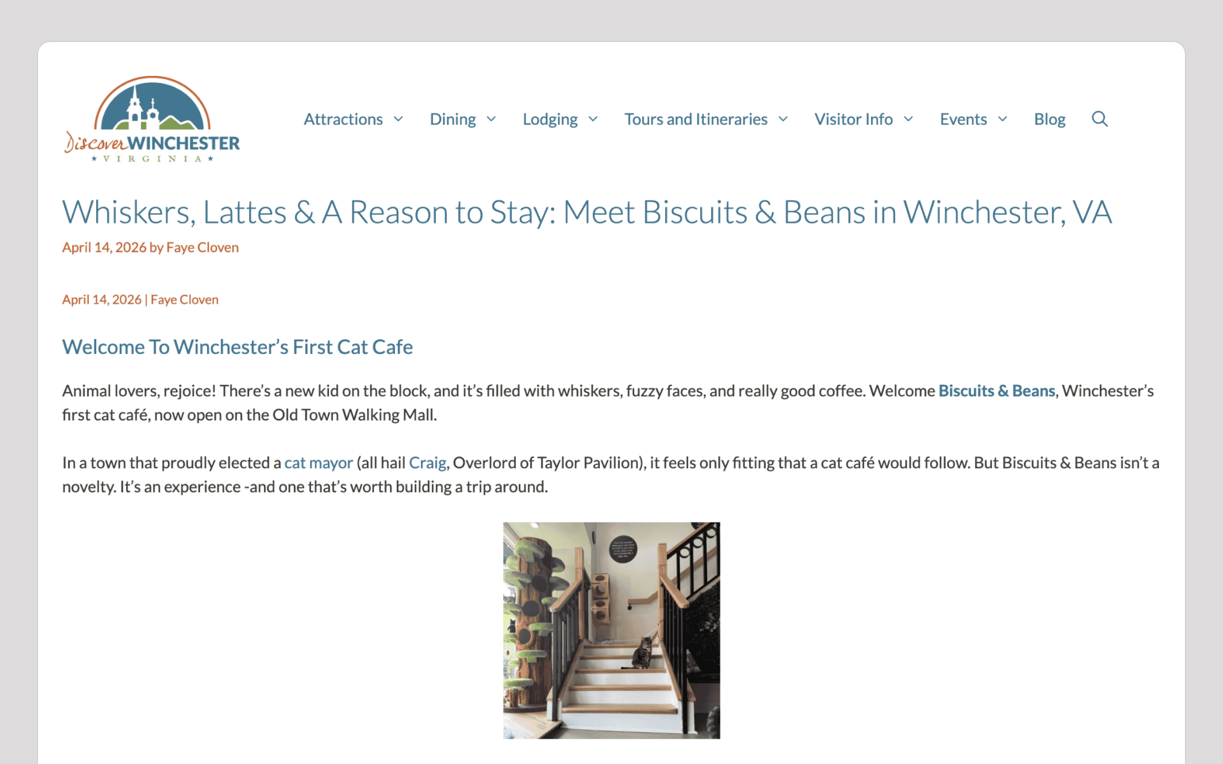 Cozy interior of Biscuits & Beans Cat Café with stairs and cat-friendly decor.