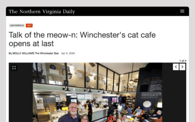 The Northern Virginia Daily: Winchester’s Cat Cafe Opens at Last