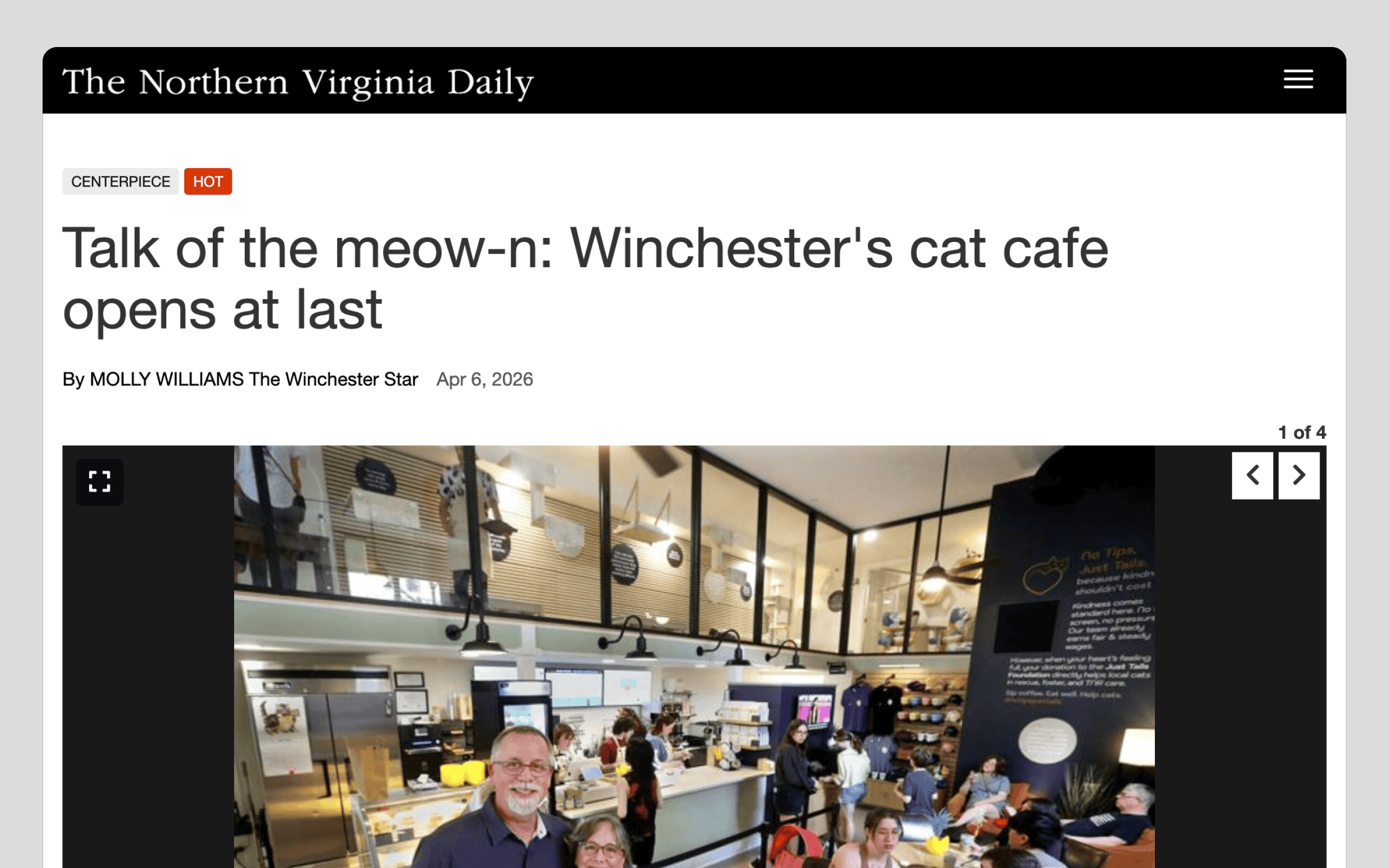Cozy interior of Winchester's Biscuit & Beans Cat Café with cats and customers.