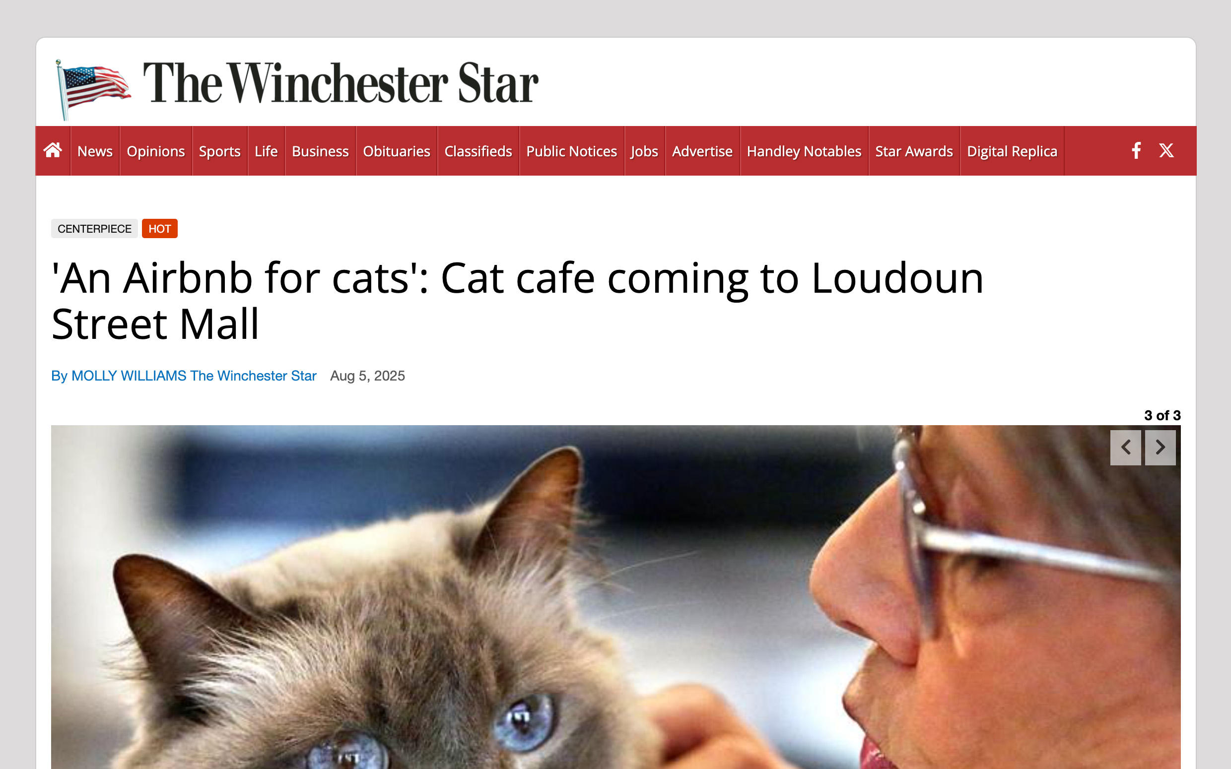 Screenshot of The Winchester Star article